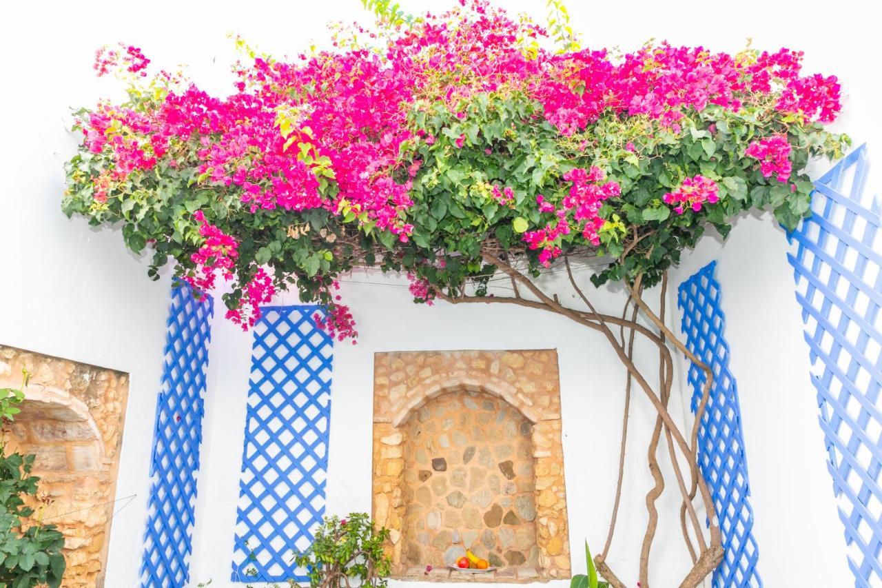 Casa Con Encanto En Casco Antiguo - El Patio Te Encantará * Barbate
